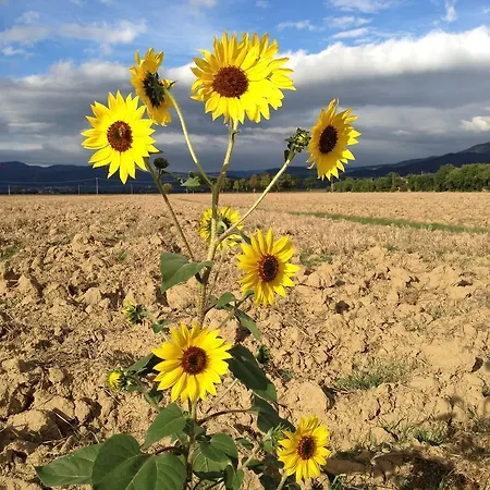 Farm stay Agrisalotto