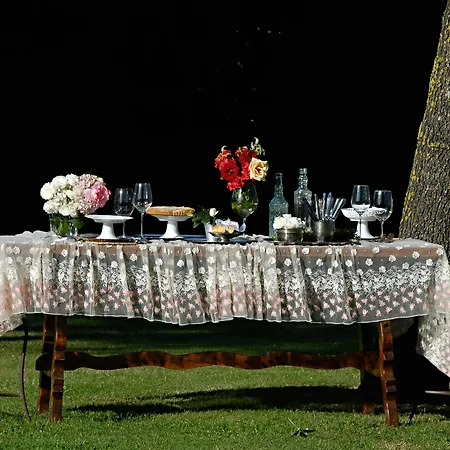 Farm stay Agrisalotto *